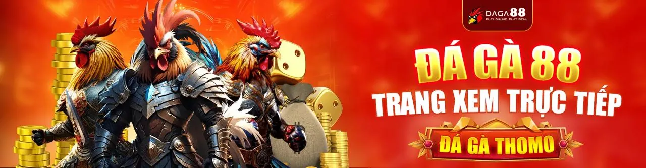 Người chơi đang thực hiện các bước đăng ký, nạp tiền và đặt cược trên cả điện thoại và máy tính