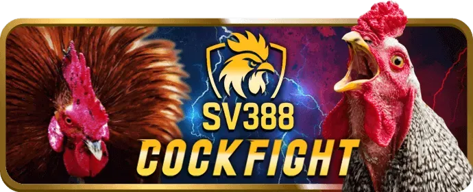 Câu hỏi thường gặp ysb66